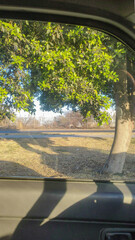 Beautiful sunrise through the car window.