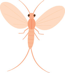 Flat vector mayfly with long twin tails and oval wings, soft pastel style, vector-friendly, isolated on white