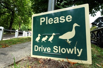 A sign located near the duck pond requests that drivers drive slowly due to the presence of crossing ducks