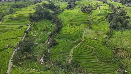 Jatiluwih Rice Terraces in Bali