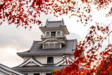 A scenic view of the historic Nagahama Castle keep in Hokoen Park, Shiga, Japan, beautifully framed by the vibrant, backlit red and orange maple leaves.