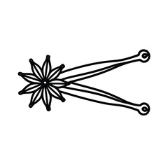 Thin line art a whole star anise spice on food