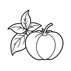 Tomato basil line art graphic on herb vegetable