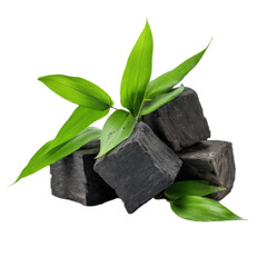 Pile of black rocks with a green leaf on top