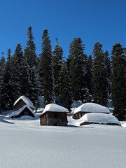 Snow-covered wooden cabins nestled in a serene alpine forest under a clear blue sky. Peaceful winter landscape with tall fir trees and untouched snow in a remote mountain area.