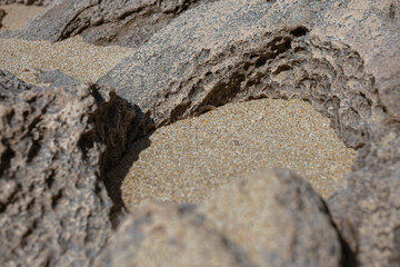 Detailed view of porous weathered limestone rock showing natural erosion patterns and geological textures