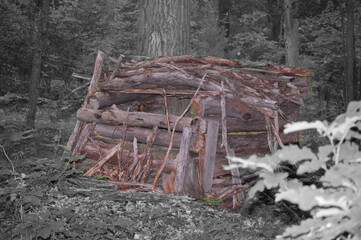 Deer blind