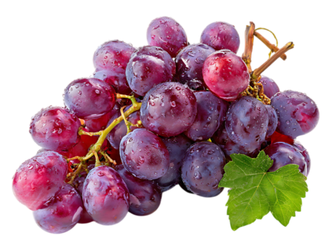 Ripe juicy purple grape cluster isolated on white background