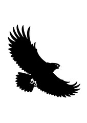Silhouette of a Soaring Eagle