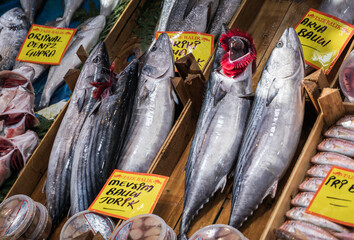 Selection of freshly caught mackerel fish, arranged on display with price tags at a busy market...