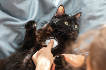 Little girl listens to black cat's heartbeat with stethoscope
