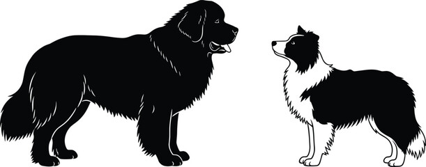Cad drawing flat vector illustration of two dog silhouettes facing each other, different sizes and coat types, black and white pet design