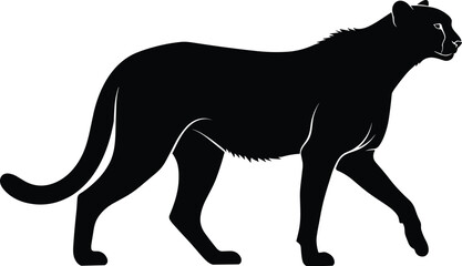 Obraz premium Vector silhouette of walking panther in black, graceful big cat illustration showing tail, legs, and wild animal posture design