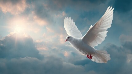 A white dove on bright light shines from heaven background. Symbol of love and peace descends from sky. image of animal.