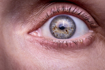 Naklejka premium Close-Up of a Woman's Eye with Natural Detail