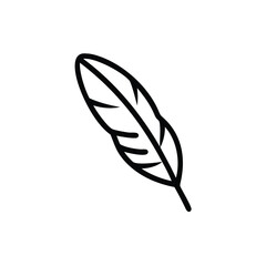 Outline a single parrot feather on bird quill