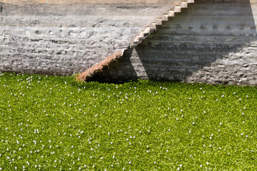 background with an old dirty Wall and stairs running along it in diagonal, water completely covered with water hyacinth plants