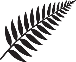 Fototapeta premium Elegant Fern Frond Illustration A Botanical Study in Monochrome Simplicity Depicting Nature's Intricate Design for Creative Projects and Artistic Endeavors