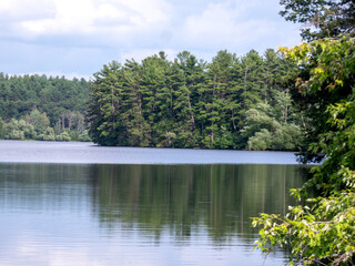 lake and forest