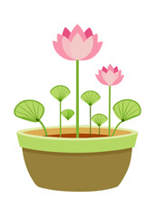 Beautiful pink lotus flower plant in pot vector illustration floral design for home decor art