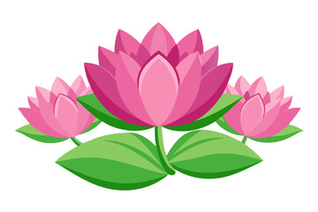 Beautiful pink lotus flower vector illustration, water lily floral design element, nature art, bloom, blossom, plant, zen