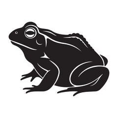 Detailed Silhouette of a Toad Emphasizing its Distinctive Form and Texture Captured in a Striking Black and White Composition