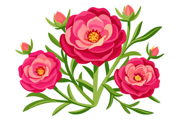 Beautiful ranunculus flower vector illustration for floral design projects and spring themes art