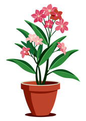 Beautiful potted plant with pink flowers vector illustration for home decor and gardening ideas