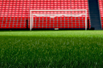 soccer field  © Viviana