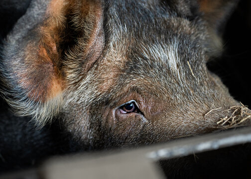 emociones sin salida  