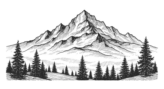 Mountain and spruce forest at the foot of the mountain &ndash; hand drawn vintage ink sketch doodle black and white vector illustration, engraving or woodcut