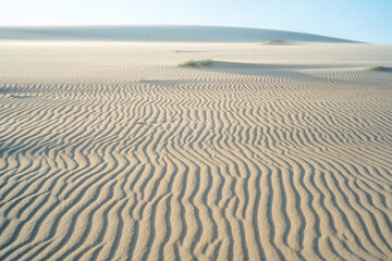 Obraz premium Tourists climbing the red sand dunes of Mui Ne under a blue sky