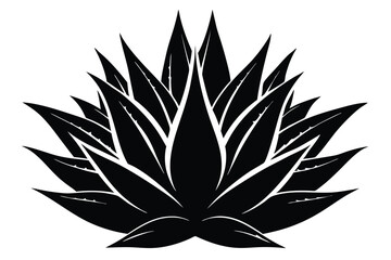 Minimalist Black and White Agave Plant Illustration with Sharp Pointed Leaves in Detail