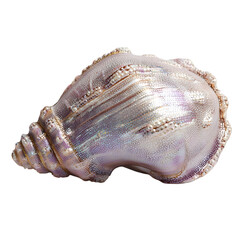 A detailed close up of a textured spiral seashell with a pearlescent sheen isolated on transparent background