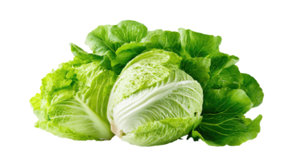 Two fresh, vibrant heads of napa cabbage, with bright green leaves tightly surrounding a pale, creamy-white interior