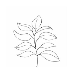 Delicate branch with leaves line art botanical