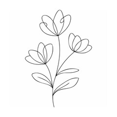 Minimalist line drawing of three blooming flowers line art