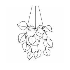 Hanging plant with heart shaped leaves vine green