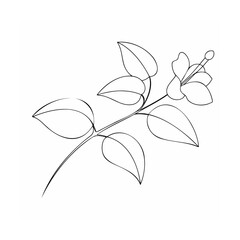 Delicate floral branch with leaves and blossom botanical