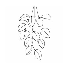 Hanging plant with leaves vine green