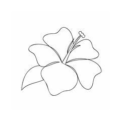 Single line drawing hibiscus flower outline