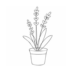 Minimalist line drawing of lavender in a pot plant
