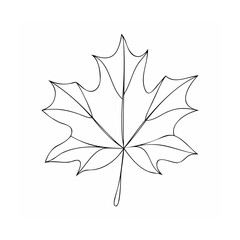 Single black maple leaf outline autumn fall