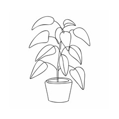 Potted plant with flowing leaves green nature