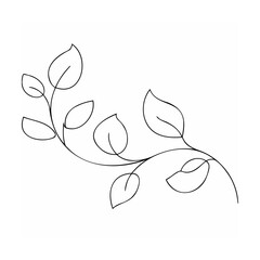Elegant black vine with leaves branch botanical