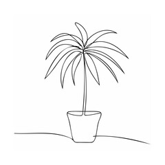 Minimalist palm tree in pot plant potted plant