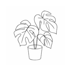 Monstera plant in pot line art outline