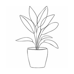 Minimalist line drawing potted plant leaves green