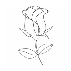 Single line drawing of a rose with leaves flower botanical