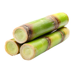 Fototapeta premium Freshly cut sugarcane stalks with green and yellow hues showing natural fibers isolated on transparent background